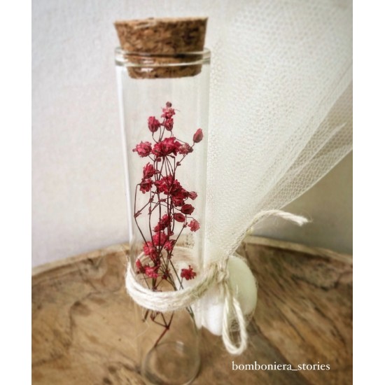 ΣΩΛΗΝΑΣ ΜΕ ΑΠΟΞΗΡΑΜΝΕΑ ΑΝΘΗ Σ107