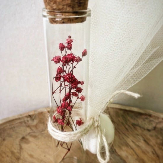 ΣΩΛΗΝΑΣ ΜΕ ΑΠΟΞΗΡΑΜΕΝΑ ΑΝΘΗ