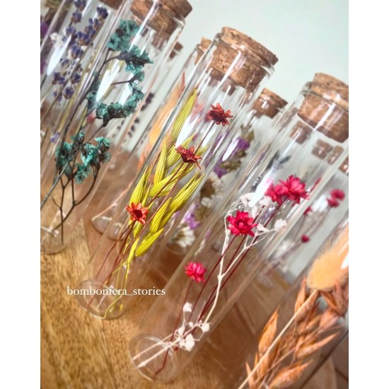 ΣΩΛΗΝΑΣ ΜΕ ΑΠΟΞΗΡΑΜΝΕΑ ΑΝΘΗ Σ107