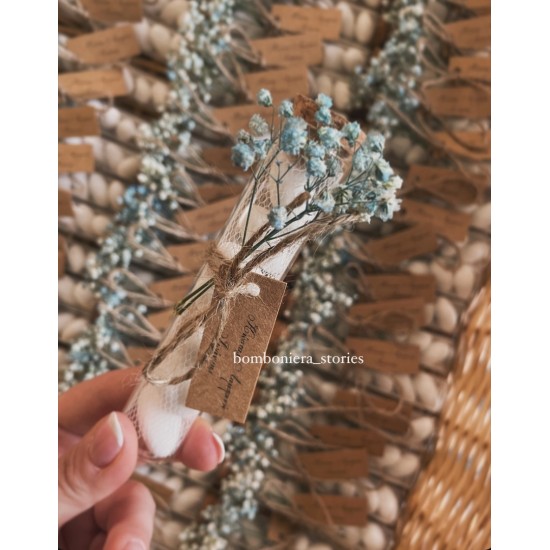 ΣΩΛΗΝΑΣ ΜΕ ΓΥΨΟΦΥΛΛΗ