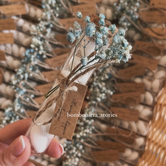 ΣΩΛΗΝΑΣ ΜΕ ΓΥΨΟΦΥΛΛΗ