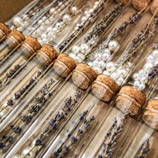 ΣΩΛΗΝΑΣ ΜΕ ΛΕΒΑΝΤΑ ΚΑΙ ΠΕΡΛΕΣ