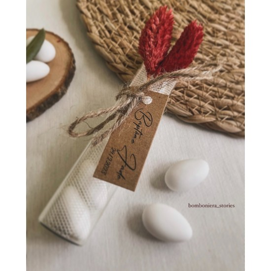 ΣΩΛΗΝΑΣ ΜΕ ΑΠΟΞΗΡΑΜΕΝΑ ΑΝΘΗ Σ111