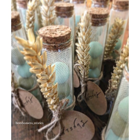 ΣΩΛΗΝΑΣ ΜΕ ΣΤΑΧΥ