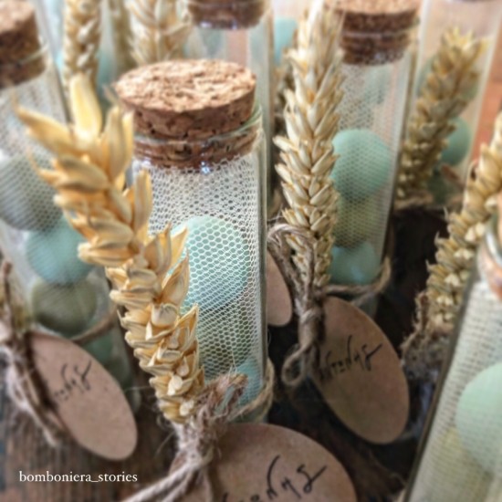 ΣΩΛΗΝΑΣ ΜΕ ΣΤΑΧΥ