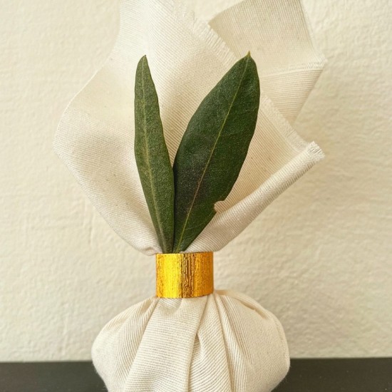 ΠΟΥΓΚΙ ΜΑΝΤΗΛΙ ΜΕ ΕΛΙΑ