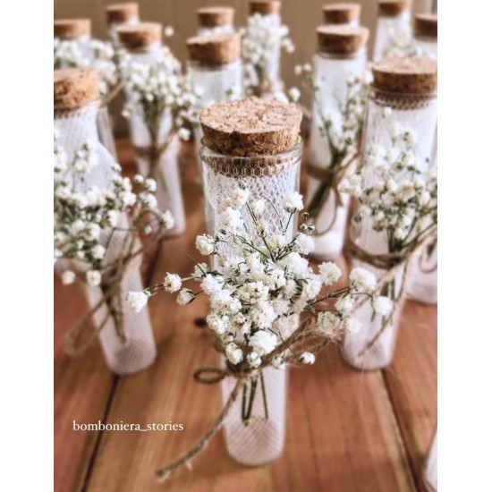 ΣΩΛΗΝΑΣ ΜΕ ΑΠΟΞΗΡΑΜΕΝΗ ΓΥΨΟΦΥΛΛΗ