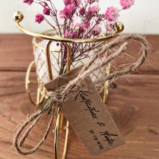 ΜΕΤΑΛΛΙΚΟ ΠΟΔΗΛΑΤΟ ΜΕ ΓΥΨΟΦΥΛΛΗ