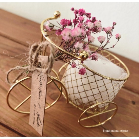 ΜΕΤΑΛΛΙΚΟ ΠΟΔΗΛΑΤΟ ΜΕ ΓΥΨΟΦΥΛΛΗ