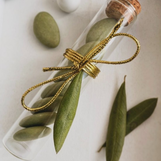 ΣΩΛΗΝΑΣ ΜΕ ΦΥΛΛΟ ΕΛΙΑΣ