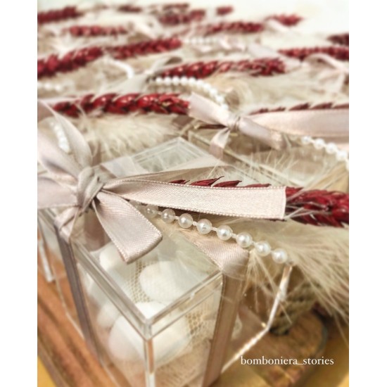 ΚΟΥΤΙ ΠΛΕΞΙΓΚΛΑΣ 