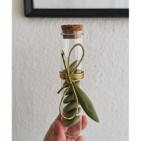 ΣΩΛΗΝΑΣ ΜΕ ΦΥΛΛΟ ΕΛΙΑΣ