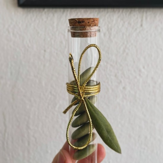 ΣΩΛΗΝΑΣ ΜΕ ΦΥΛΛΟ ΕΛΙΑΣ