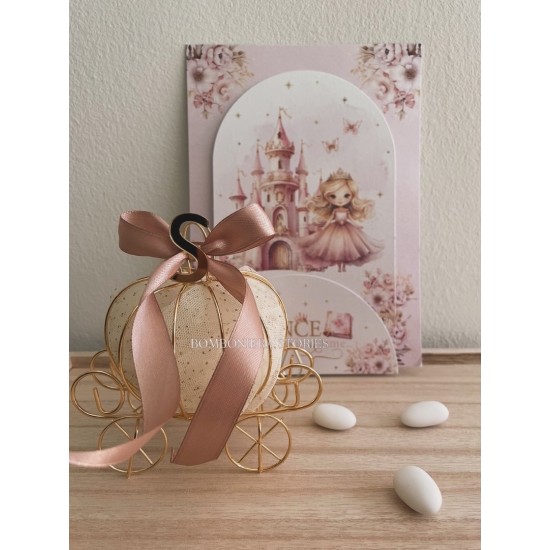 ONCE UPON A TIME ( the princess )